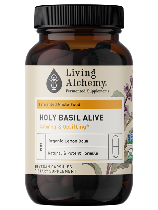 Holy Basil