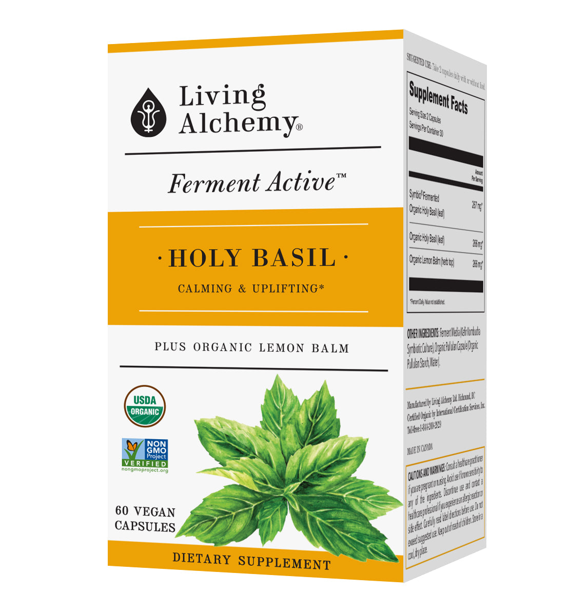 Holy Basil