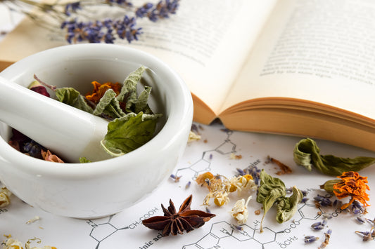 What are Adaptogen and Nervine Herbs?