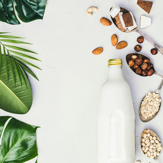 Why do we use Certified Organic, Non-GMO Fermented Soy?