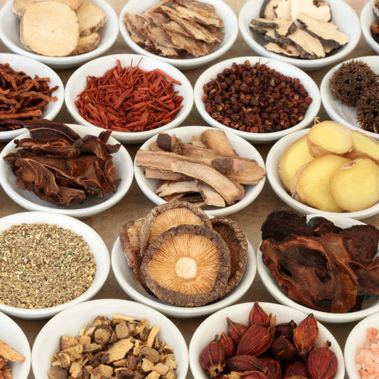 Traditional Chinese Medicine