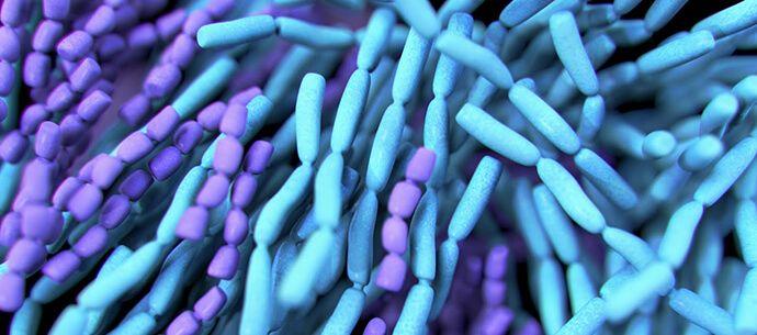 The Problem with Counting Bacteria in Probiotics