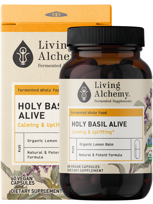 Holy Basil