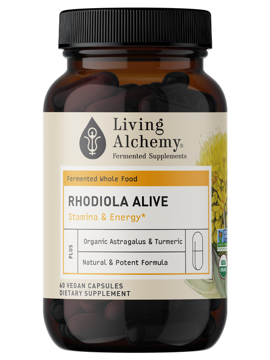 Rhodiola